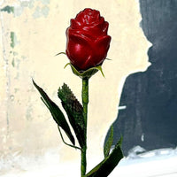 Rose coeur praliné chocolat noir ou lait